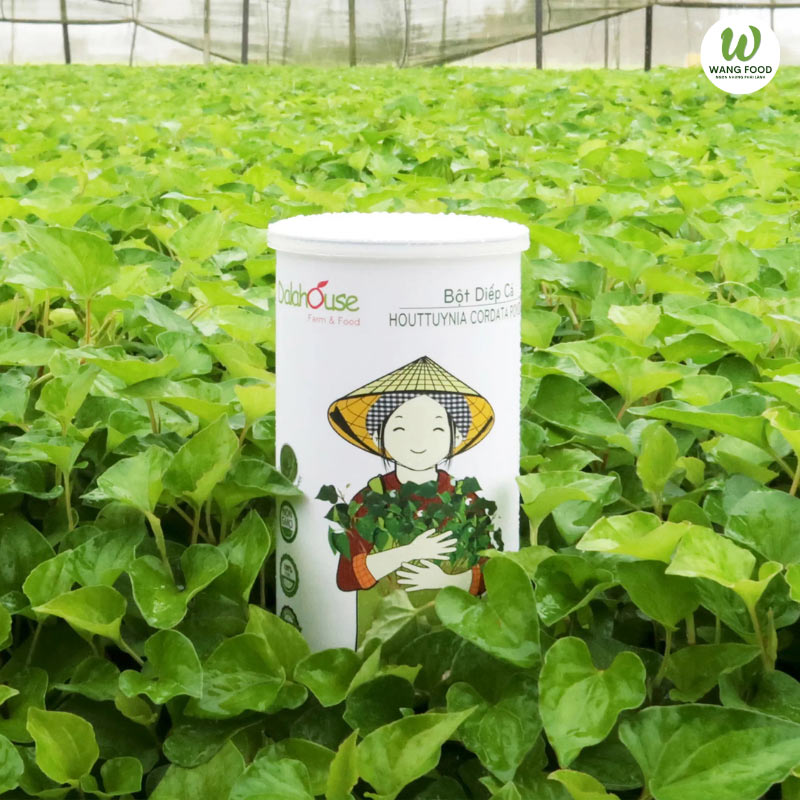 bột diếp cá mua ở đâu