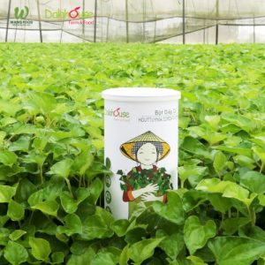 Bột Diếp Cá Sấy Lạnh Organic - 60G/120G 26 bột diếp cá hữu cơ sấy lạnh