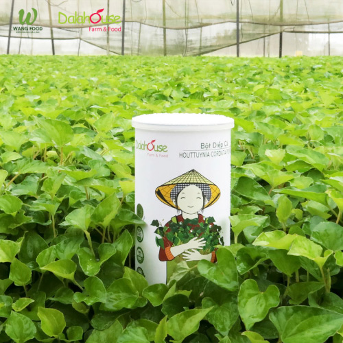 Bột Diếp Cá Sấy Lạnh Organic - 60G/120G 18 bột diếp cá hữu cơ sấy lạnh
