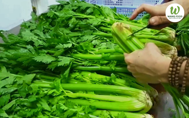 hướng dẫn cách làm bột cần tây
