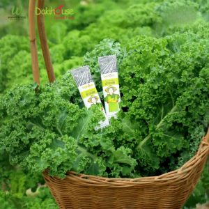 Bột Cải Xoăn Sấy Lạnh Hữu Cơ - 60G/120G 24 bột cải xoăn hữu cơ