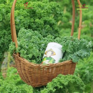 Bột Cải Xoăn Sấy Lạnh Hữu Cơ - 60G/120G 27 bột cải xoăn kale mua ở đâu