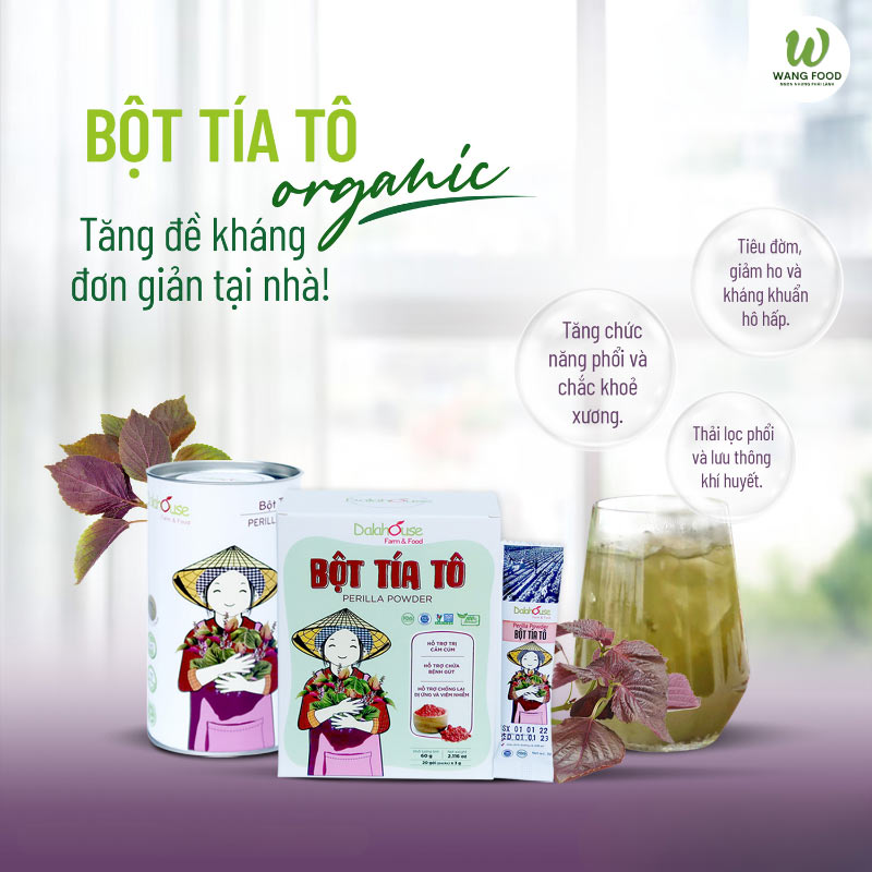 uống bột tía tô có tác dụng gì?