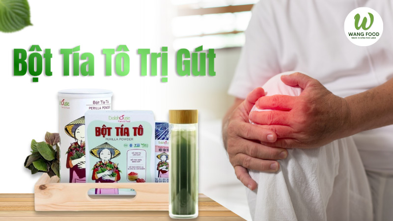 bột tía tô trị gút