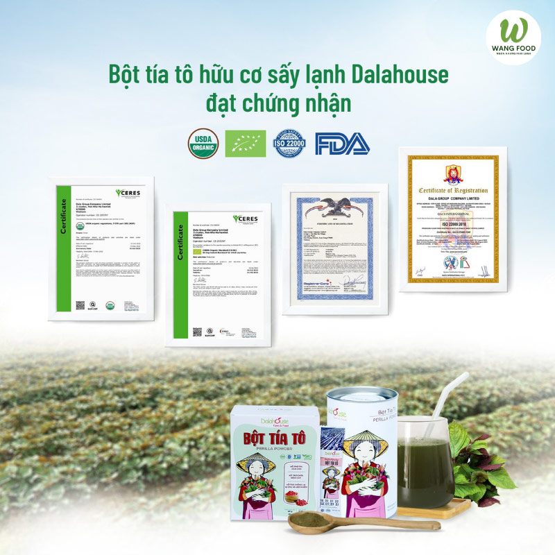 trị bệnh gút bằng bột tía tô