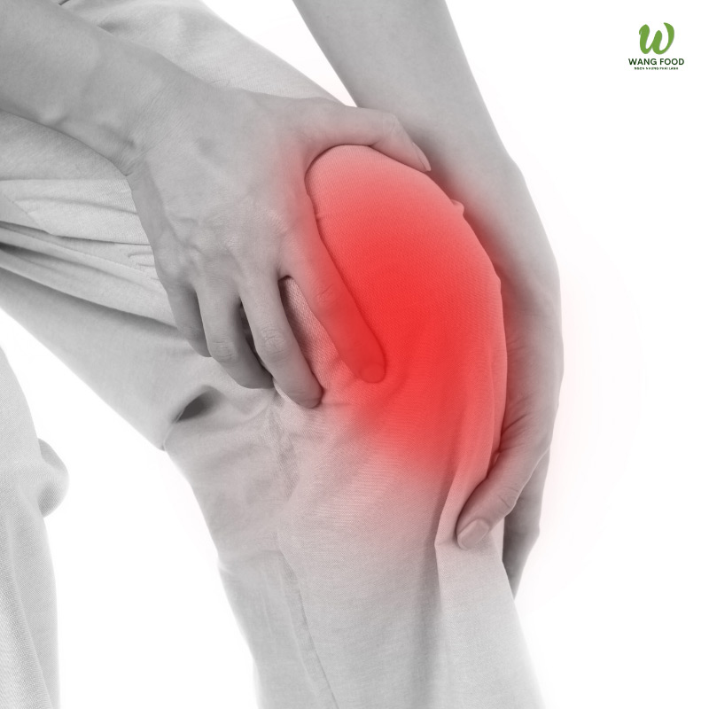 bột tía tô trị gout