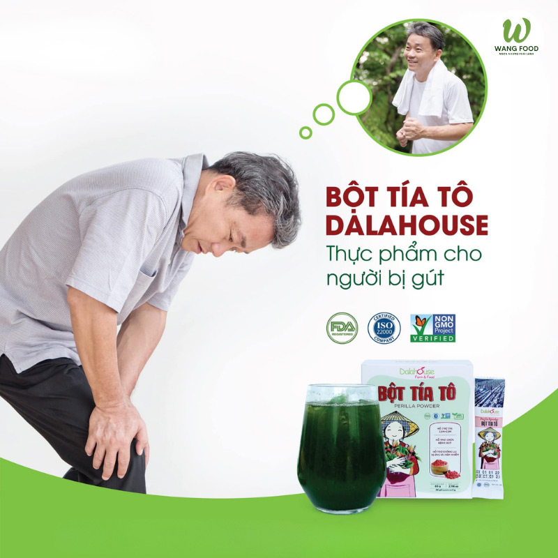 bột tía tô trị bệnh gút