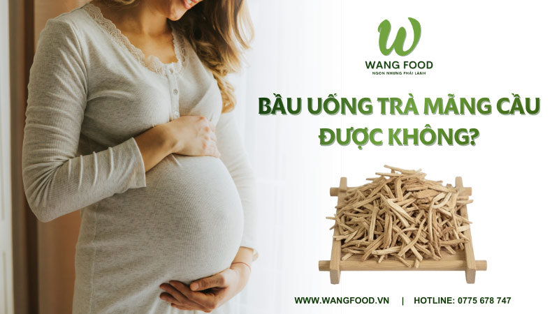 bầu uống trà mãng cầu được không